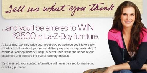 Rewards at La-Z-Boy Delivery Survey