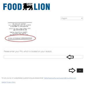 participate in talk to food lion survey